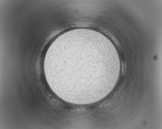 X0000116560675201001211223