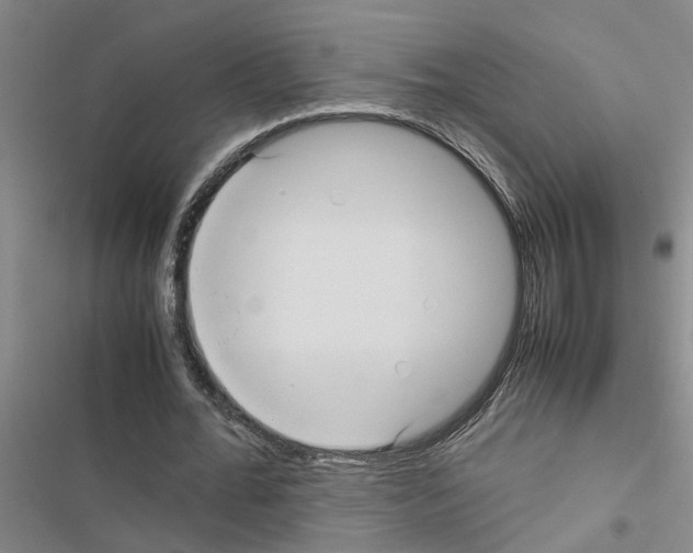 X0000116560676201001211223