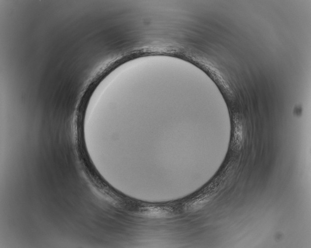 X0000116560678201001211223