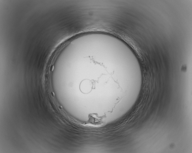 X0000116560680201001211223