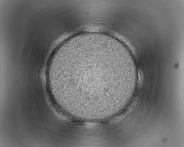 X0000116560682201001211223
