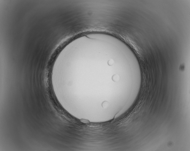 X0000116560684201001211223