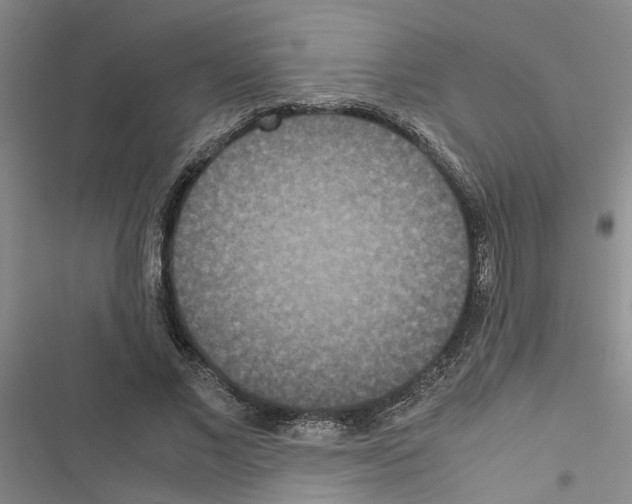 X0000116560685201001211223