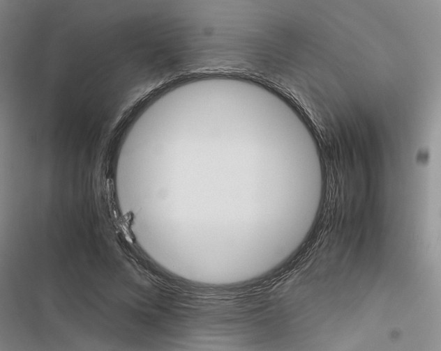 X0000116560688201001211223