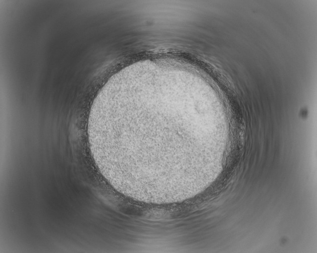 X0000116560691201001211223