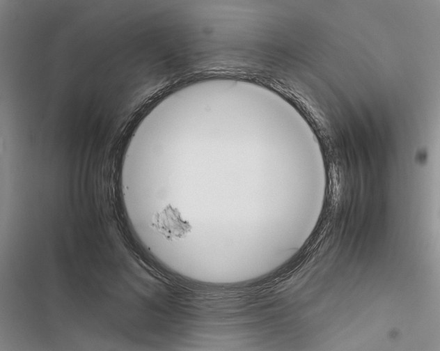X0000116560692201001211223