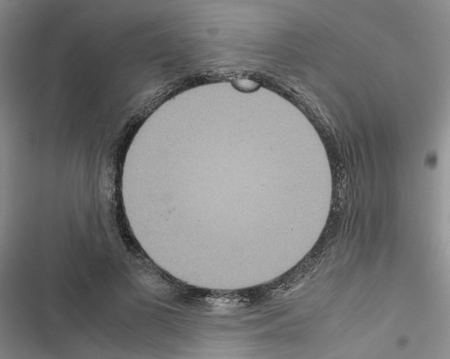 X0000116560693201001211223