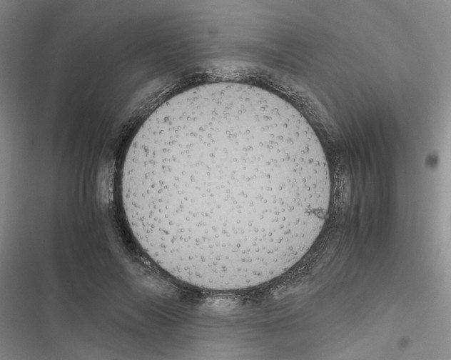 X0000116560694201001211223