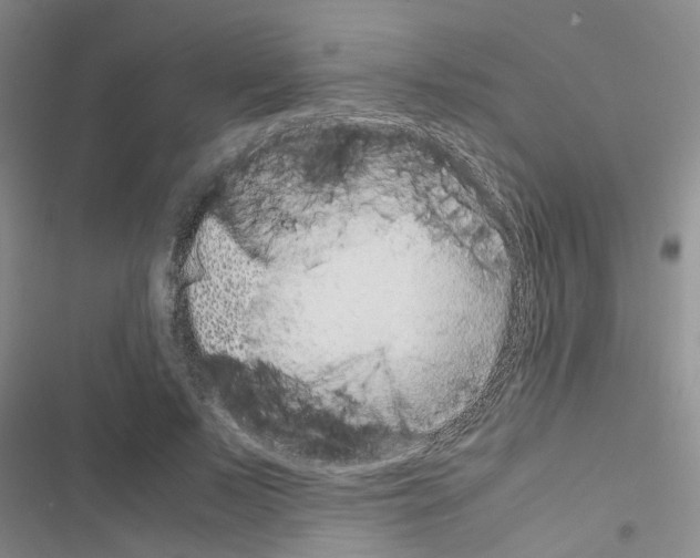 X0000116560695201001211223