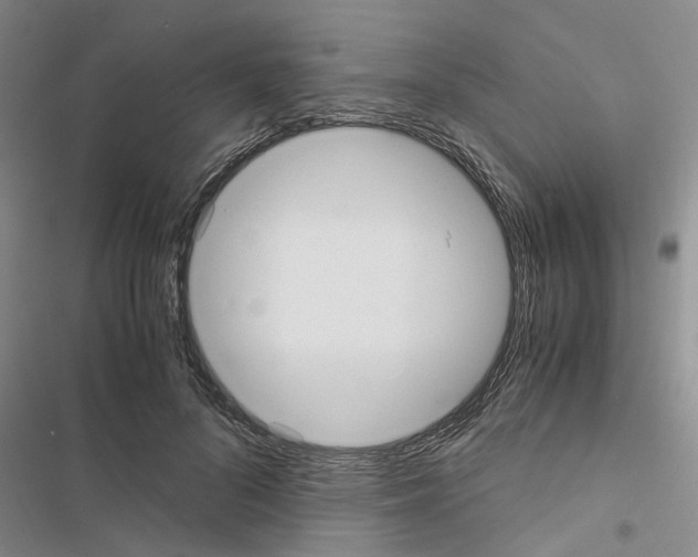 X0000116560696201001211223