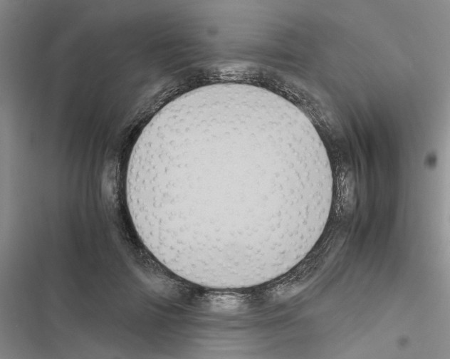 X0000116560698201001211223