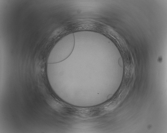X0000116560701201001211223