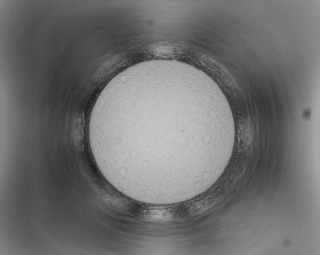 X0000116560702201001211223