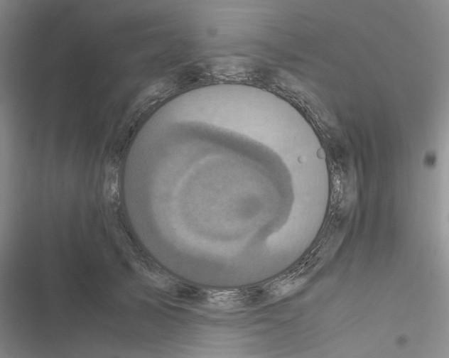 X0000116560705201001211223