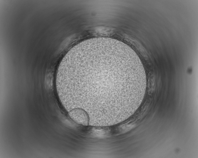 X0000116560706201001211223