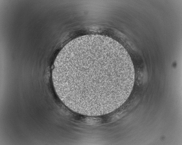 X0000116560707201001211223