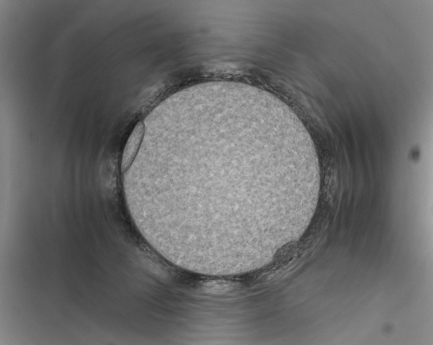 X0000116560708201001211223