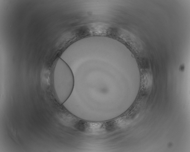 X0000116560709201001211223