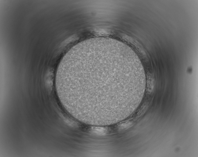 X0000116560710201001211223