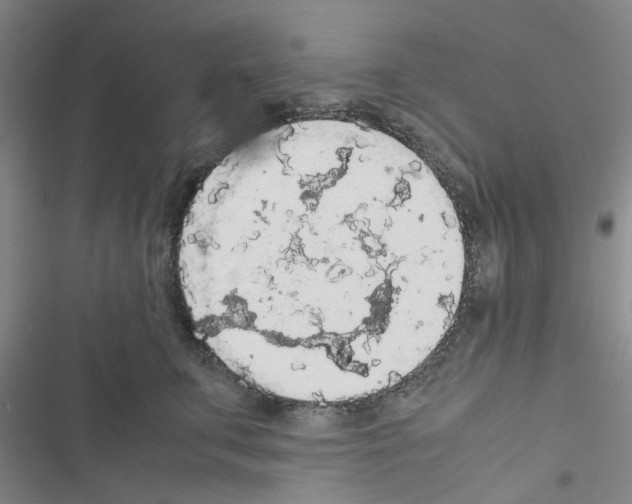 X0000116560711201001211223