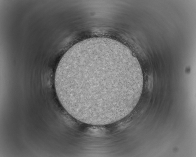 X0000116560712201001211223