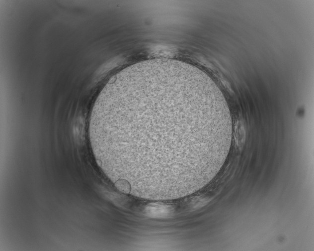 X0000116560714201001211223