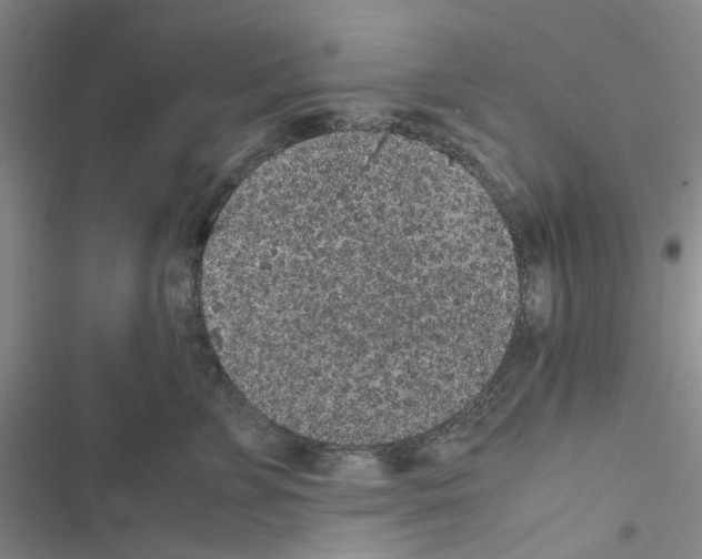 X0000116560715201001211223