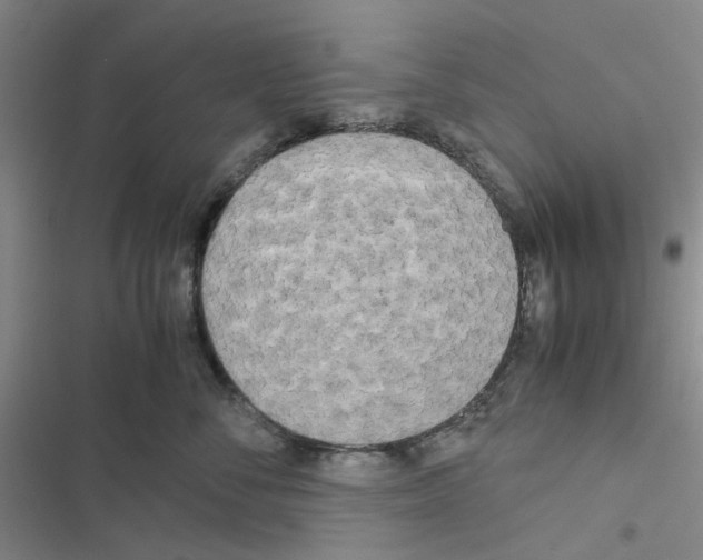 X0000116560716201001211223