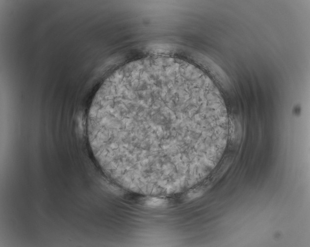X0000116560718201001211223