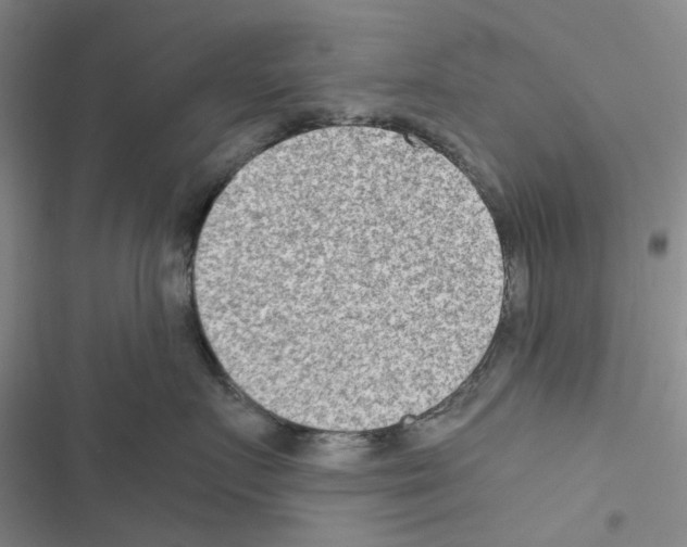 X0000116560719201001211223