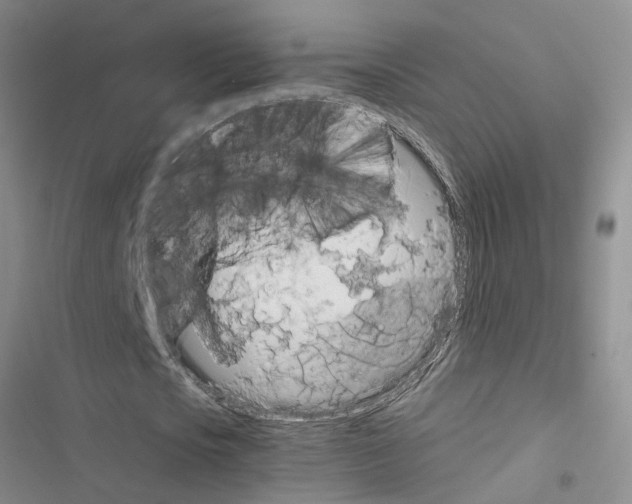 X0000116560721201001211222