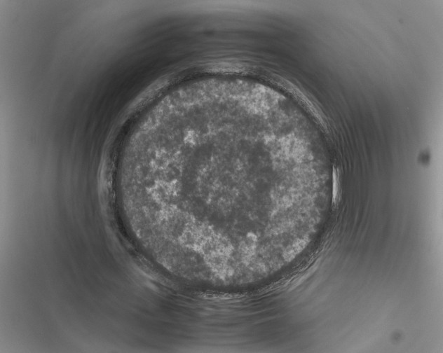 X0000116560723201001211222