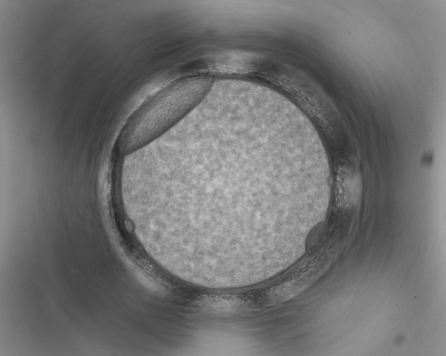 X0000116560726201001211222