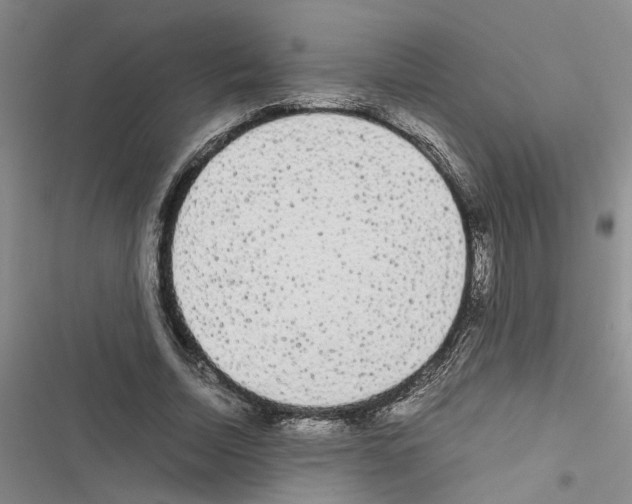 X0000116560730201001211222