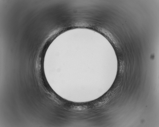 X0000116560731201001211222