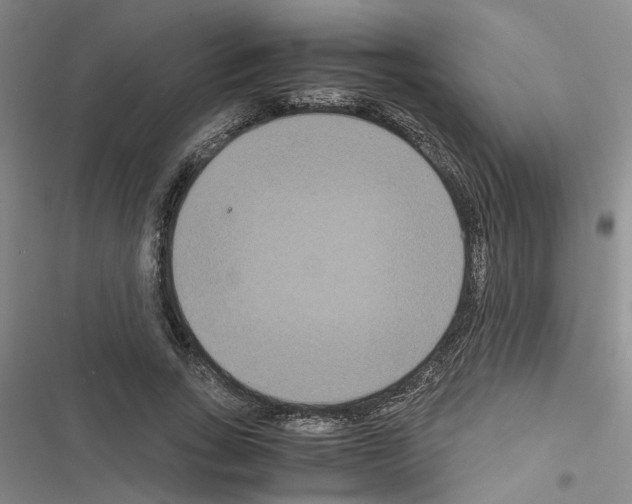X0000116560735201001211222