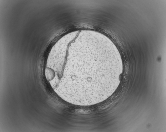 X0000116560739201001211222