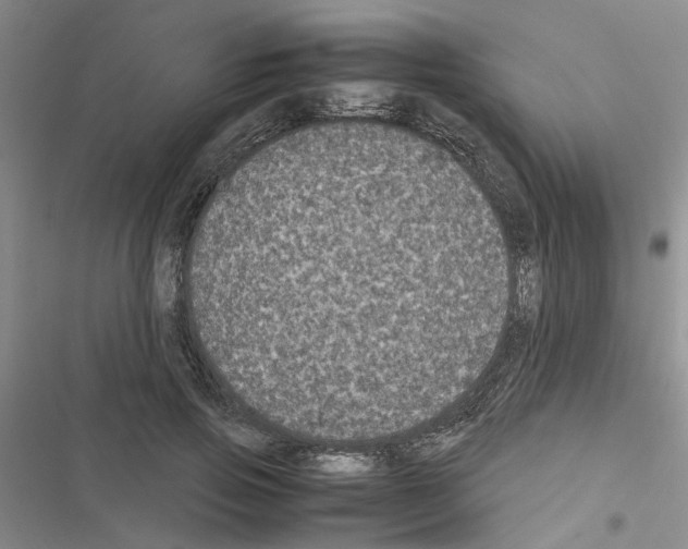 X0000116560741201001211222