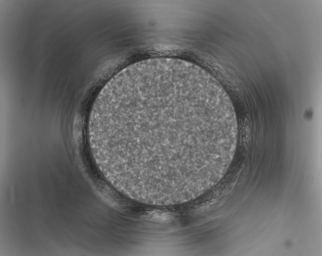X0000116560742201001211222