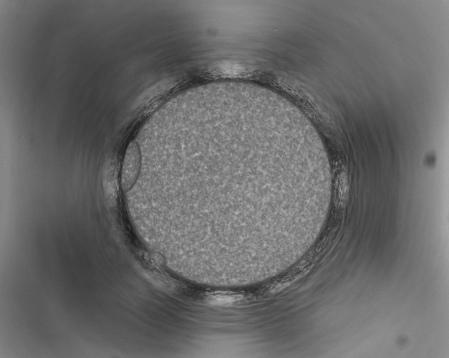 X0000116560746201001211222