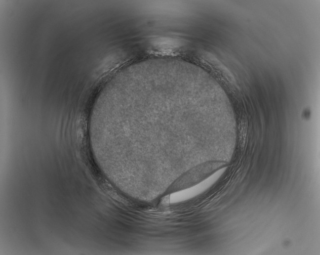 X0000116560747201001211222