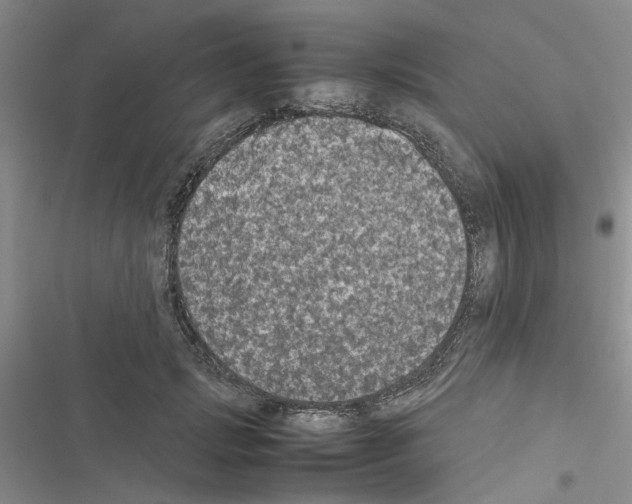 X0000116560749201001211222