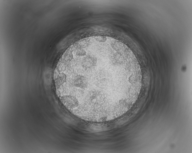 X0000116560757201001211222