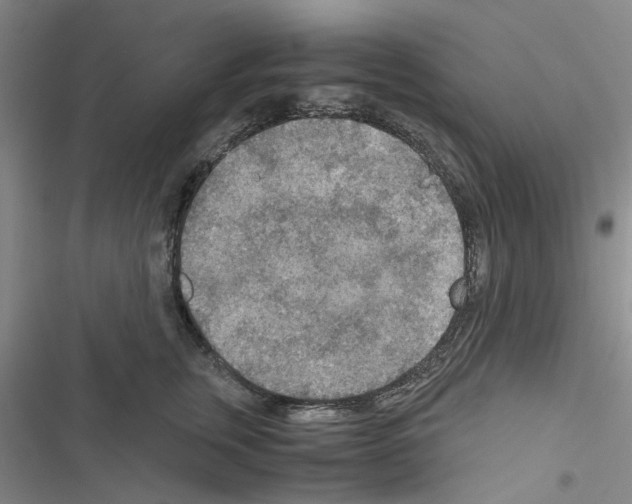 X0000116560759201001211222