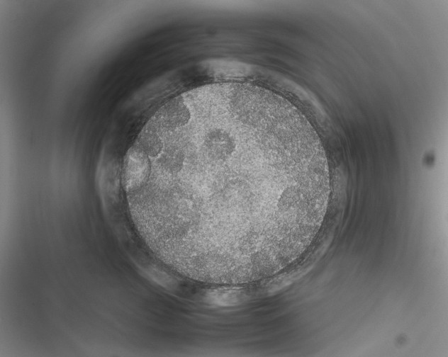 X0000116560761201001211222