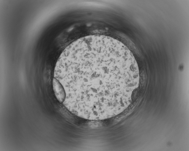 X0000116560762201001211222