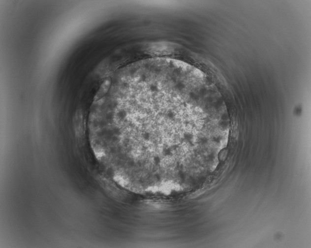 X0000116560763201001211222