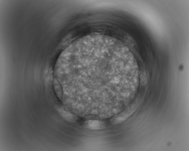 X0000116560766201001211222