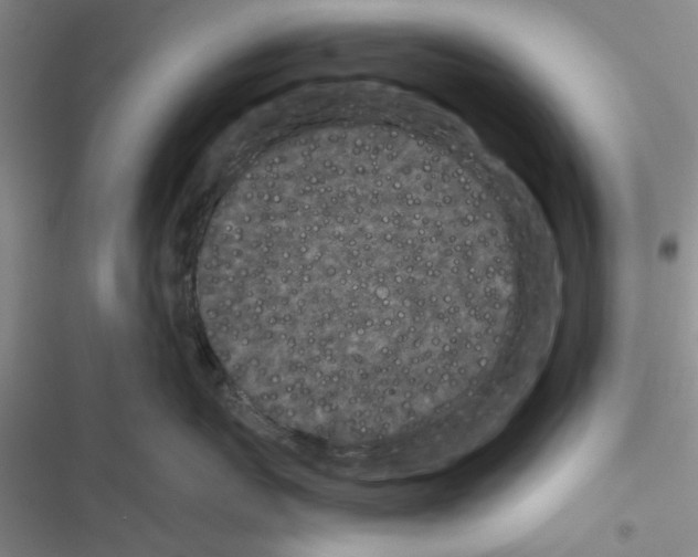X0000116560767201001211222
