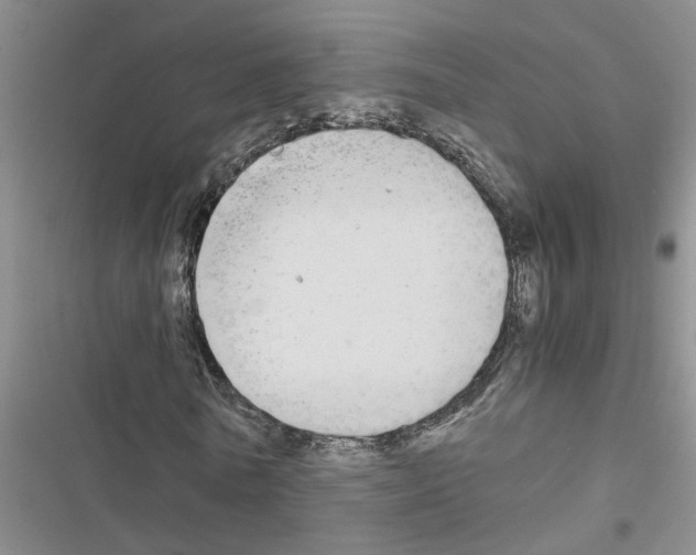 X0000116560770201001211222
